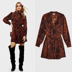 Topshop Button-down Animal Print Dress
